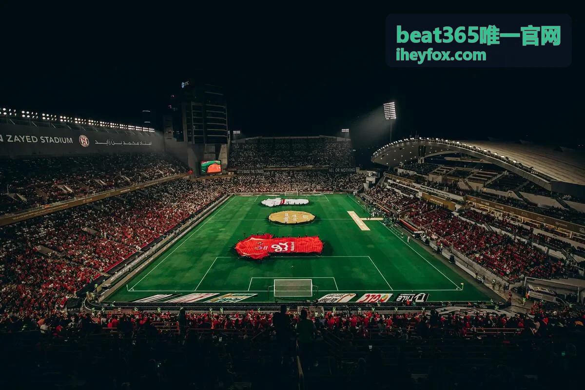 beat365唯一官网业务数据分析与决策支持