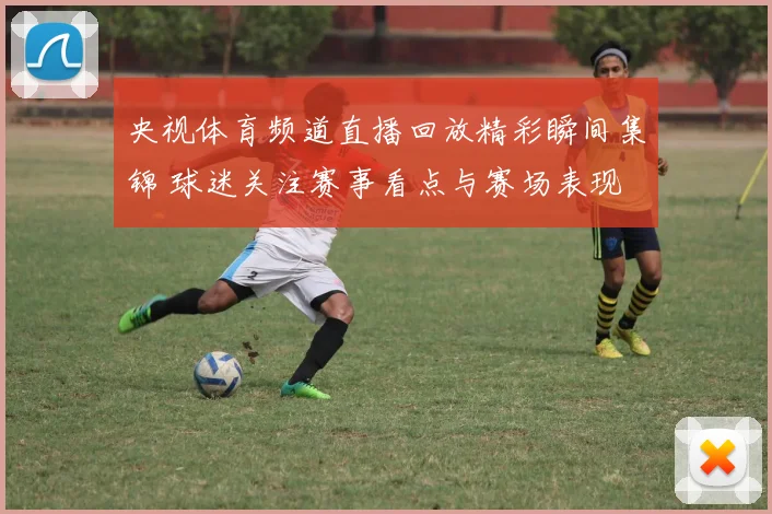 央视体育频道直播回放精彩瞬间集锦 球迷关注赛事看点与赛场表现