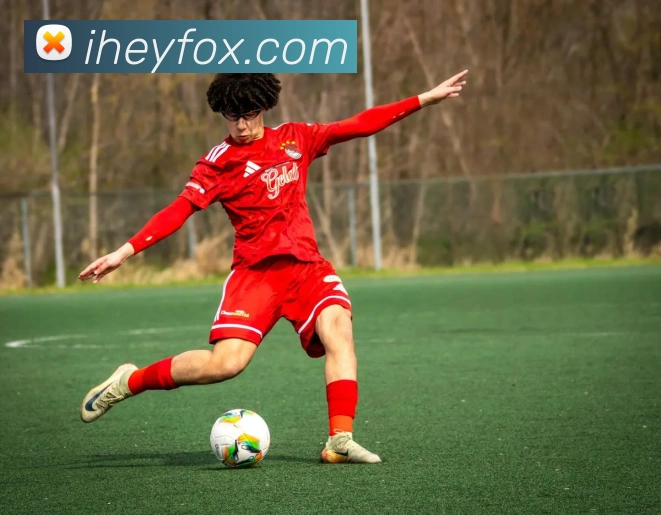 世界杯官网登录app平台生态图